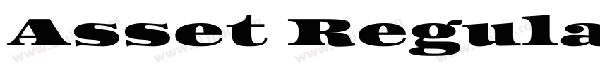 Asset Regular字体转换